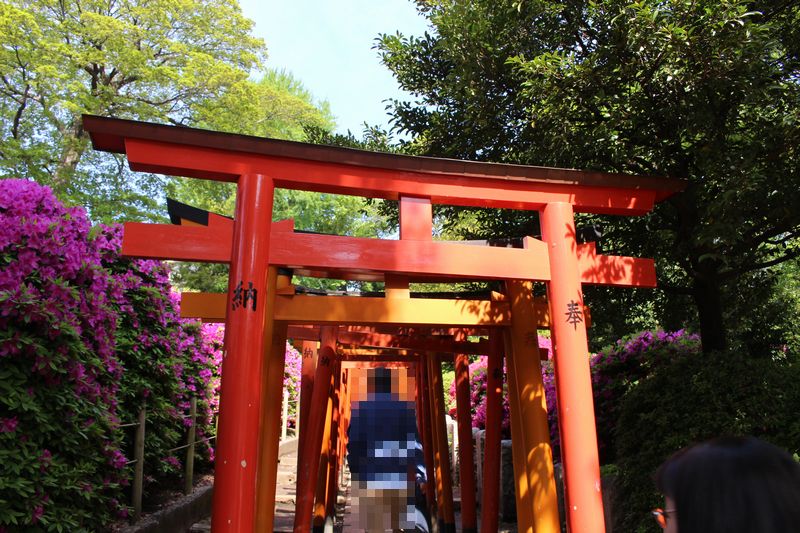 乙女稲荷神社に続く千本鳥居