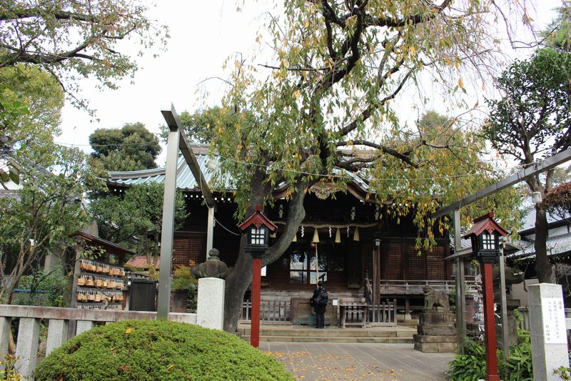 白山神社の社殿