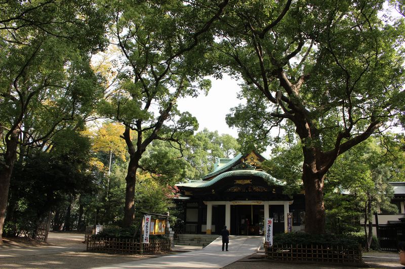王子神社境内と社殿