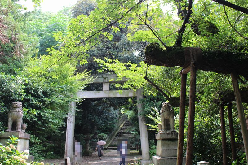 赤坂氷川神社入り口の大鳥居と狛犬
