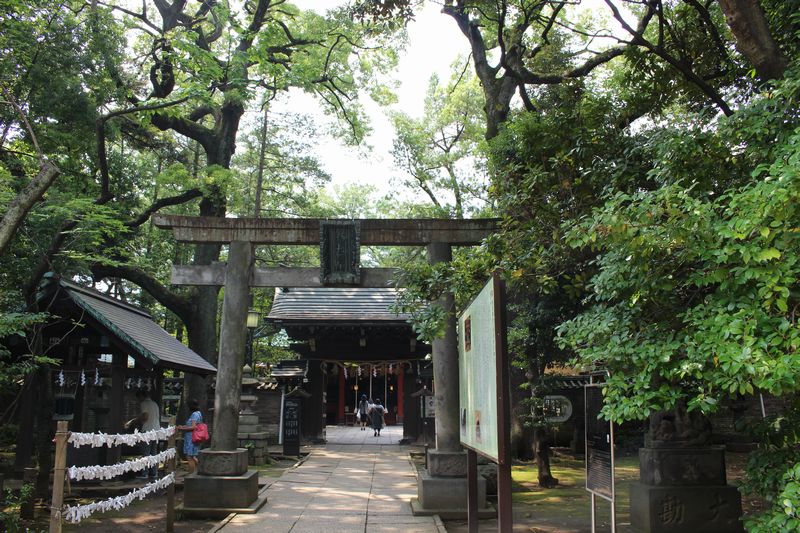 社殿に向かう鳥居と楼門